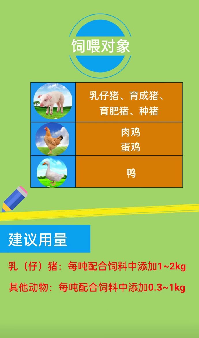 ��ϵ����